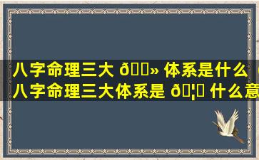 八字命理三大 🌻 体系是什么（八字命理三大体系是 🦍 什么意思）